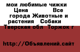 мои любимые чижки › Цена ­ 15 000 - Все города Животные и растения » Собаки   . Тверская обл.,Торжок г.